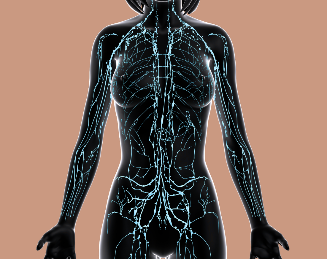 3 ways to clear lymph through your yoga practice — jillian pransky